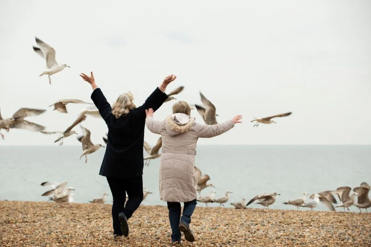 Emotional Bonding with Birds